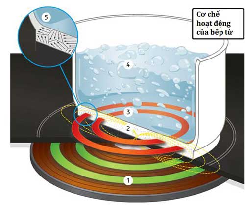 Bếp Từ hoạt động như thế nào?